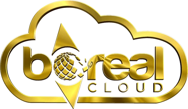 Boreal Cloud, Boreal Soluções em Tecnologias